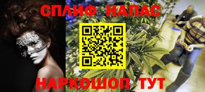 прущие грибы Нягань