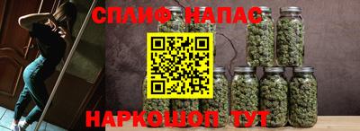 прущие грибы Нягань