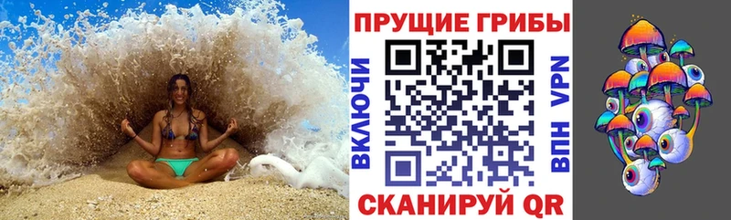 наркошоп  Отрадное  Псилоцибиновые грибы ЛСД 
