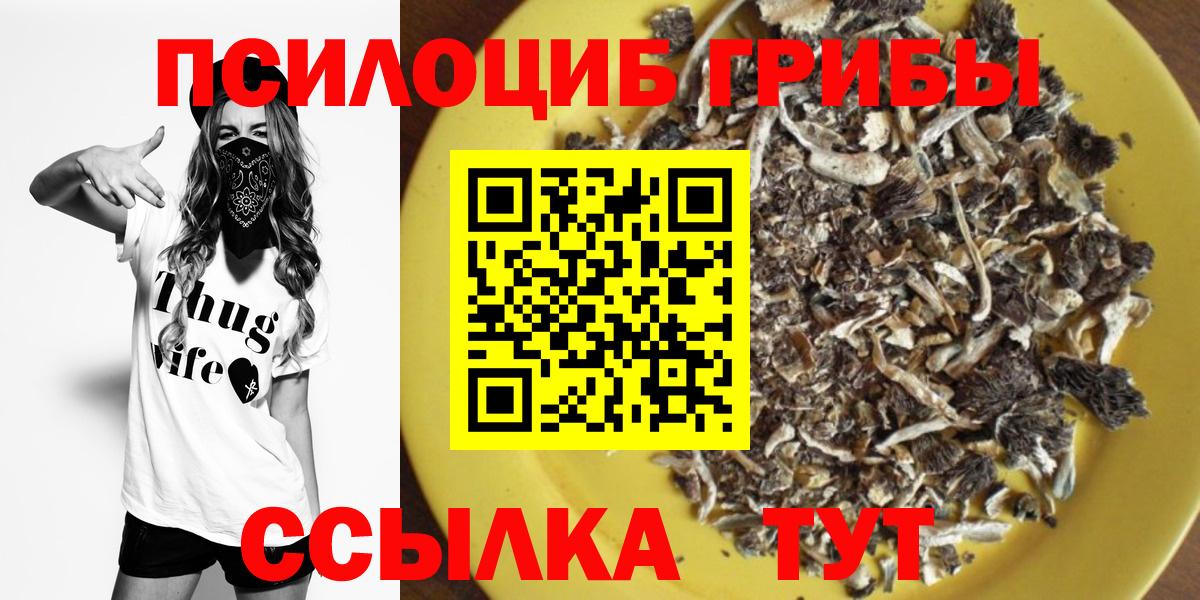 наркотики  Псилоцибиновые грибы GOLDEN TEACHER  Отрадное  Вход с VPN  Псилоцибиновые грибы Magic Shrooms 