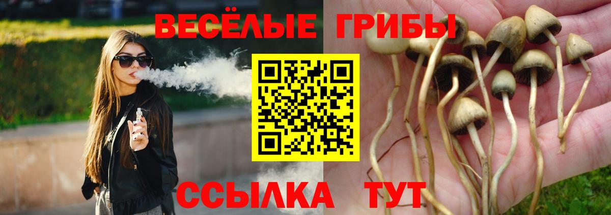 Псилоцибиновые грибы Magic Shrooms Отрадное