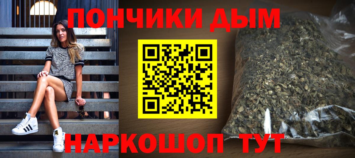 Каннабис планчик Отрадное